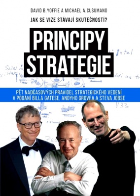 Principy strategie
