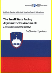 The Small State Facing Asymmetric Environment