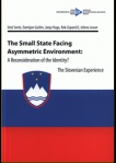 The Small State Facing Asymmetric Environment