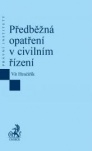 Předběžná opatření v civilním řízení