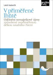 V přiměřené lhůtě - Odčinění nemajetkové újmy způsobené nesprávným úředním postupem