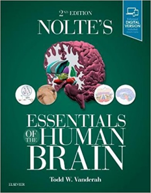 Nolte's Essentials of Human Brain
