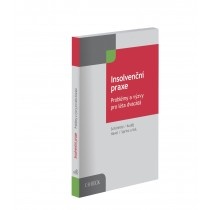 Insolvenční praxe. Problémy a výzvy pro léta dvacátá