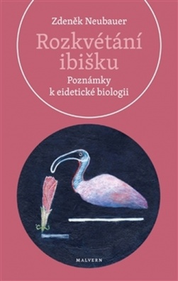 Rozkvétání ibišku: Poznámky k eidetické biologii