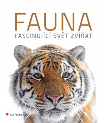 Fauna. Fascinující svět zvířat