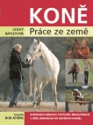 Koně - práce ze země