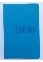 Bible, překlad 21. století (Blue)