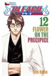 Bleach 12: Flower on the Precipice