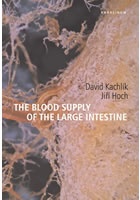 The Blood Supply od the Large Intestine