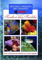Korálové útesy v karibiku - Určovací příručka pro potapěče - Ryby a živočich
