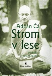 Strom v lese