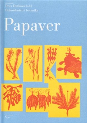 Papaver