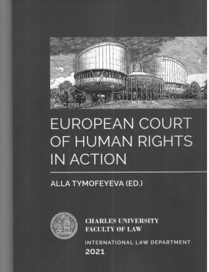 European court of human rights in action