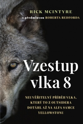 Vzestup vlka 8, Neuvěřitelný příběh vlka, který to z outsidera dotáhl až na alfa samce Yellowsto
