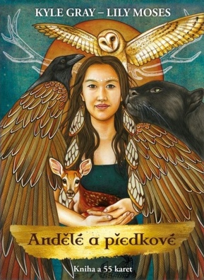 Andělé a předkové, Kniha a 55 karet