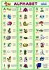 Alphabet - anglická abeceda