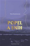 Popel a sníh