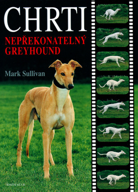 Chrti. Nepřekonatelný Greyhound