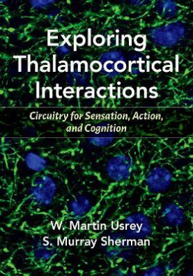 Exploring Thalamocortical Interactions : Circuitry for Sensation, Action, and Cognition