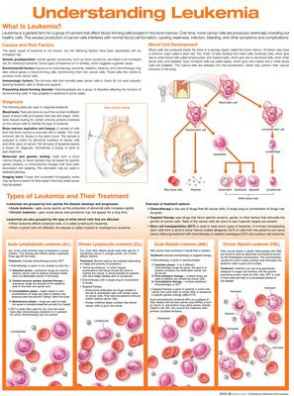 Understanding Leukemia Anatomical Chart 2nd edition