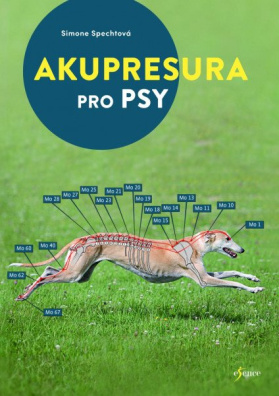 Tabulky pro psí akupresuru