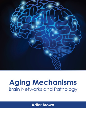 Aging Mechanisms: Brain Networks and Pathology