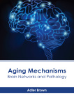Aging Mechanisms: Brain Networks and Pathology