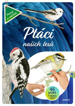 Ptáci našich lesů. 46 ptáků k obkreslení + průhledné papíry