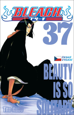 Bleach 37. Beauty is so Solitary