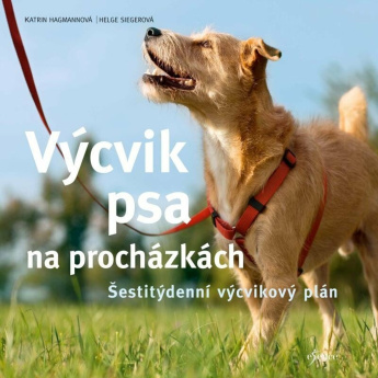 Výcvik psa na procházkách. Šestitýdenní tréninkový plán