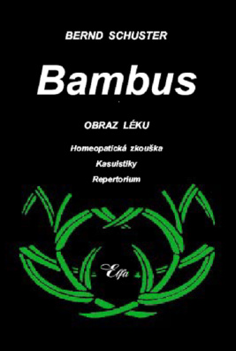 Bambus – obraz léku