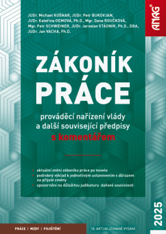 Zákoník práce, prováděcí nařízení vlády a další související předpisy s kom. po tzv. flexinovele