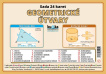 Sada 24 karet - geometrické útvary