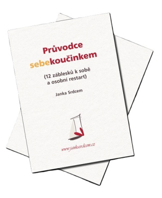 Průvodce sebekoučinkem (12 záblesků k sobě a osobní restart)
