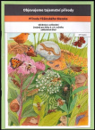 Příroda Těšínského Slezska. Učebnice s cvičeními (nejen) pro žáky 4. a 5. ročníku základních škol