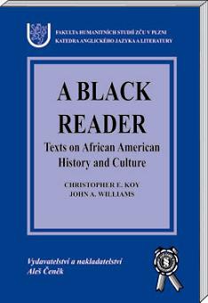 A Black Reader - Texts on African American History
