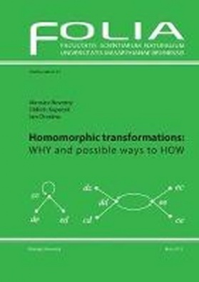Homomorphic transformations: WHY and possible ways to HOW