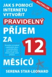 Pravidelný příjem za 12 měsíců